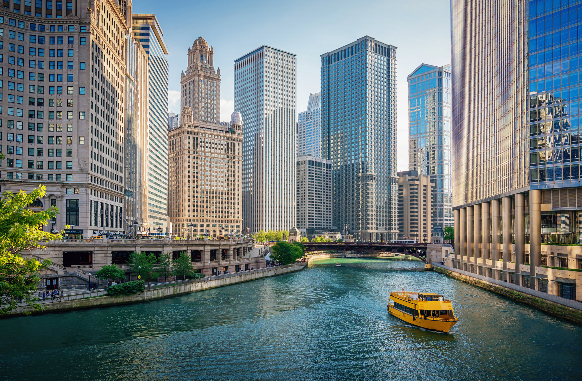 Chicago resident participating in a paid market research study