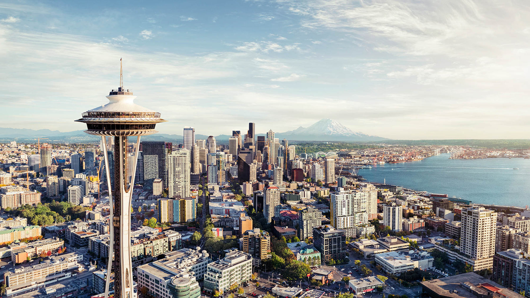 Seattle professionals and consumers participating in market research