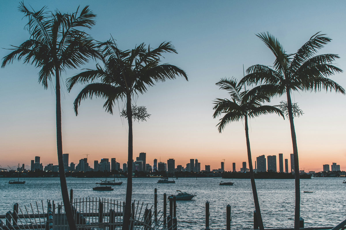 Orlando metropolitan area and workforce