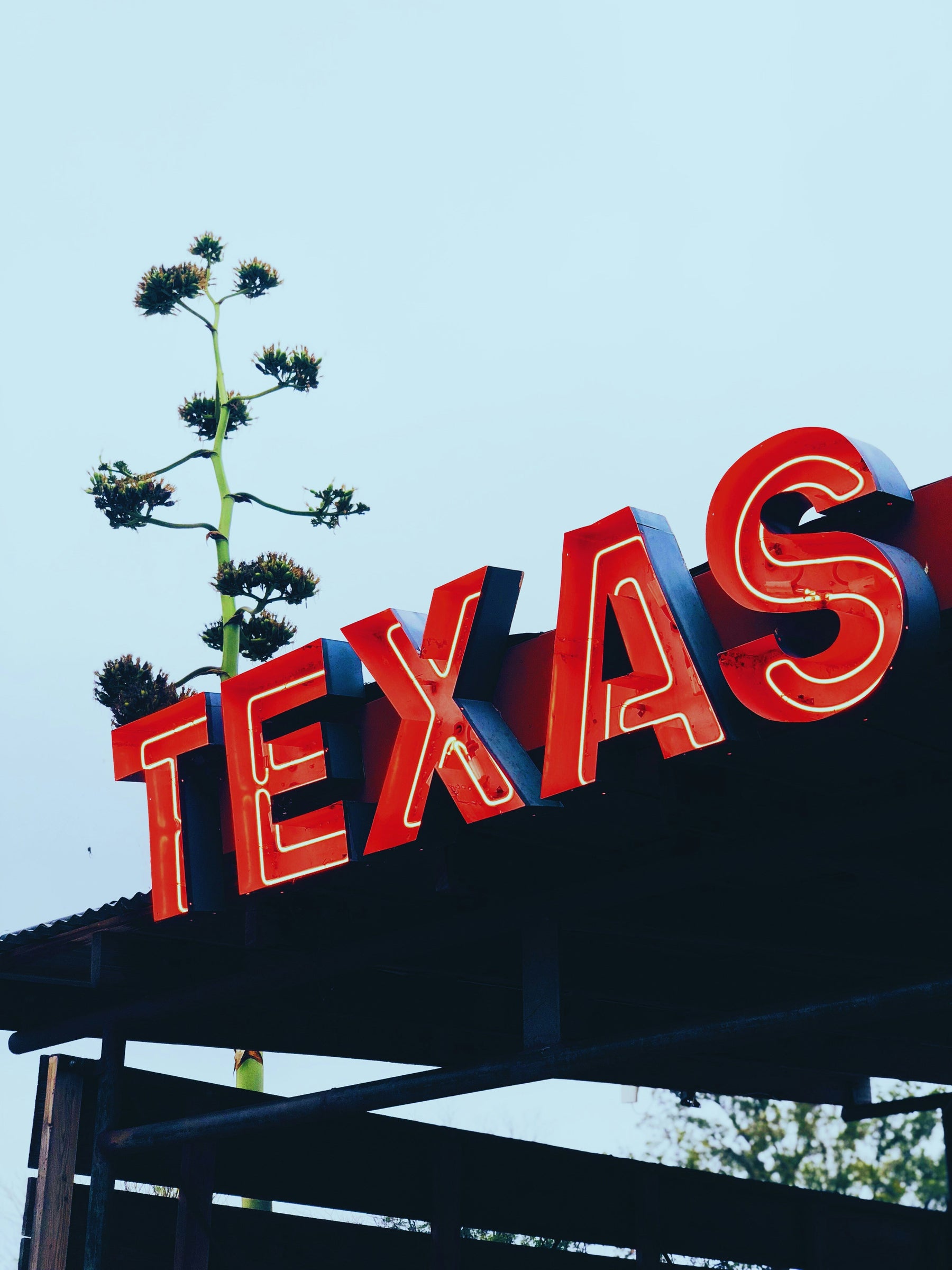 Austin and Central Texas communities represented in market research