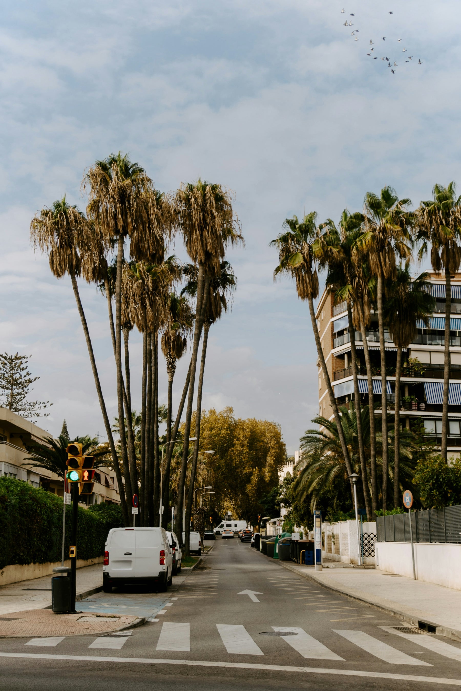Business and employment activity in San Jose