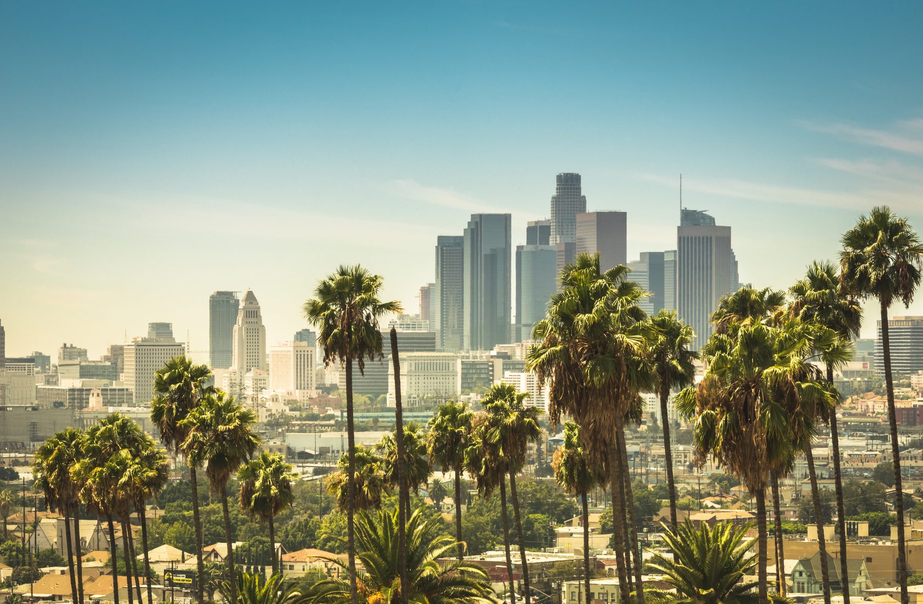 Los Angeles professionals and consumers represented in market research