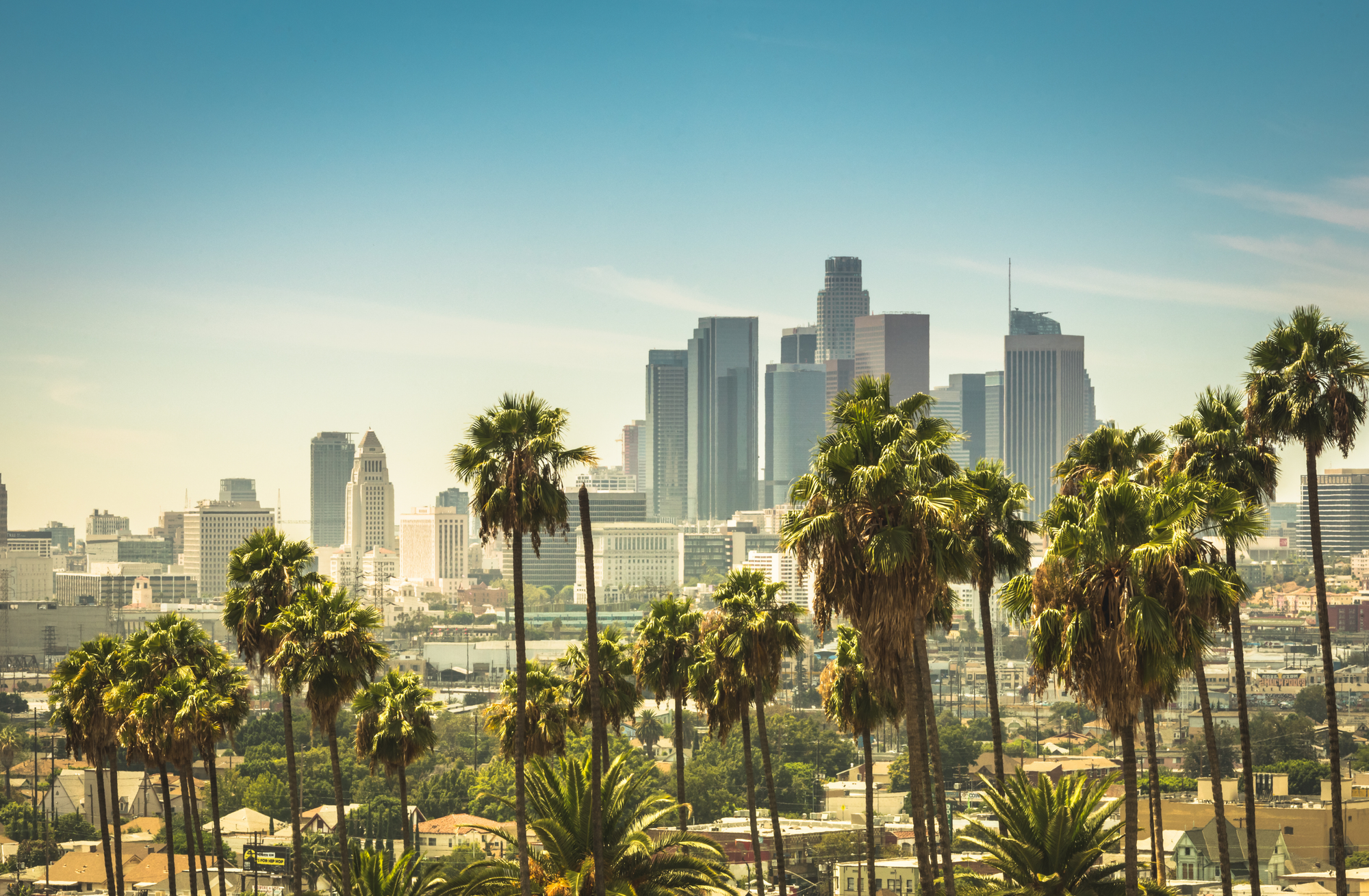 Los Angeles resident participating in a paid market research study